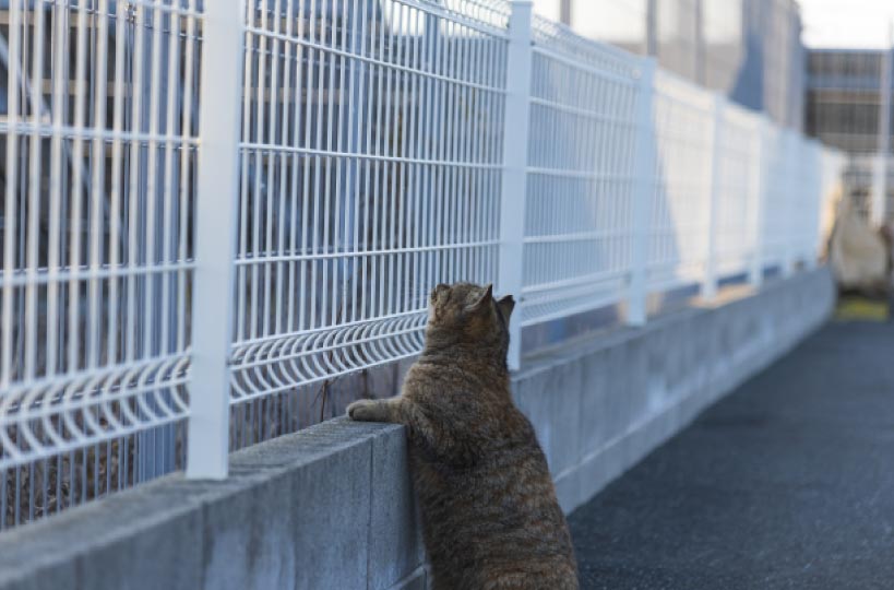 飼い猫を庭で遊ばせたい！フェンスの選び方や費用とアイデア集│外構・エクステリアパートナーズ